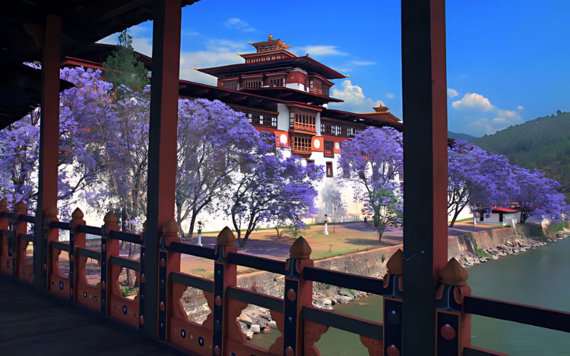 Thimphu & Paro Discovery